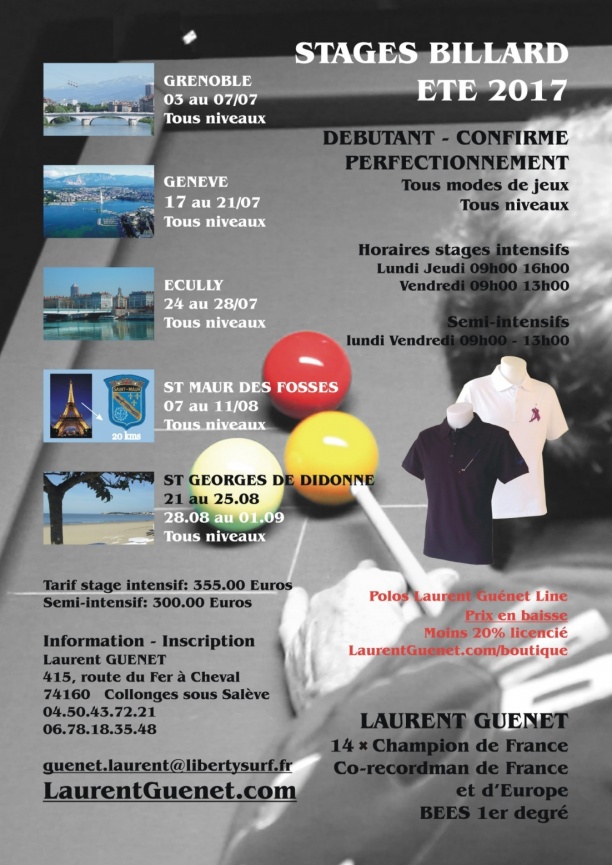 Stages été L Guenet 2017
